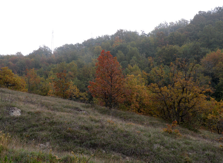 Passeggiata autunnale a Campotrera